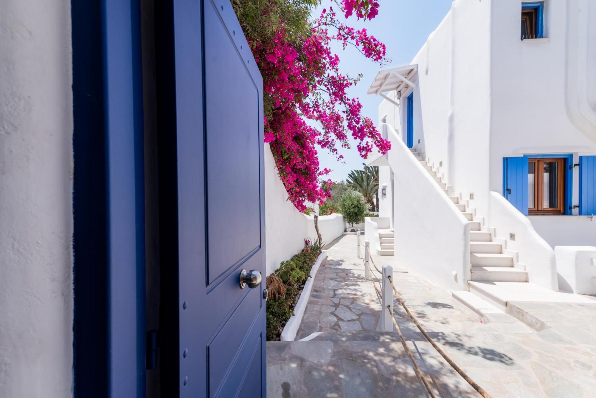 Olive Tree & Capari Mykonos Town Homes & Apartments With Pool! Ngoại thất bức ảnh