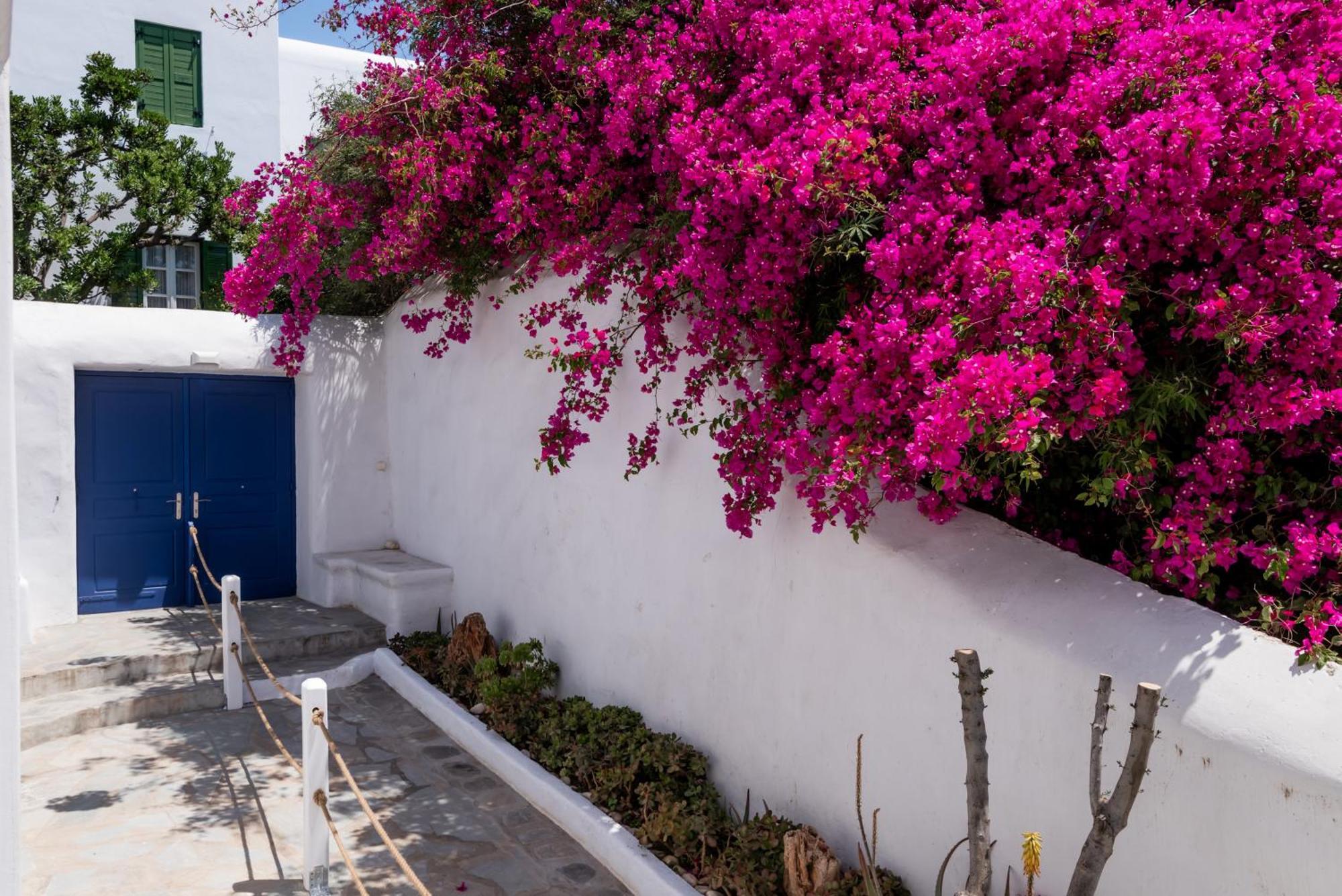 Olive Tree & Capari Mykonos Town Homes & Apartments With Pool! Ngoại thất bức ảnh